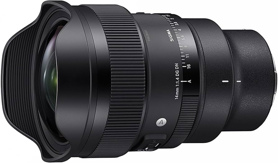 SIGMA 14mm F1.4 DG DN ライカLマウント用 Amazon.com : 14MM F1.4 DG DN | A for L-Mount Black : Electronics